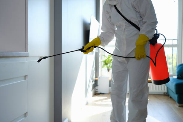 Best Residential Mold Removal  in Indian Springs, GA