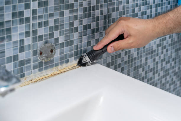Best Residential Mold Removal  in Indian Springs, GA